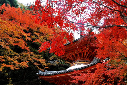 大威徳寺の紅葉