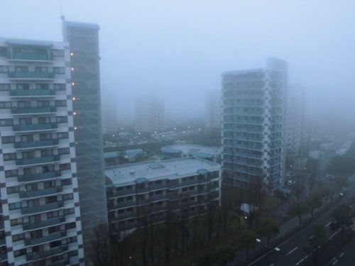 霧が発生・12月17日