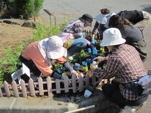 堺市花のボランティア「花いっぱいゃさかい」の会員募集