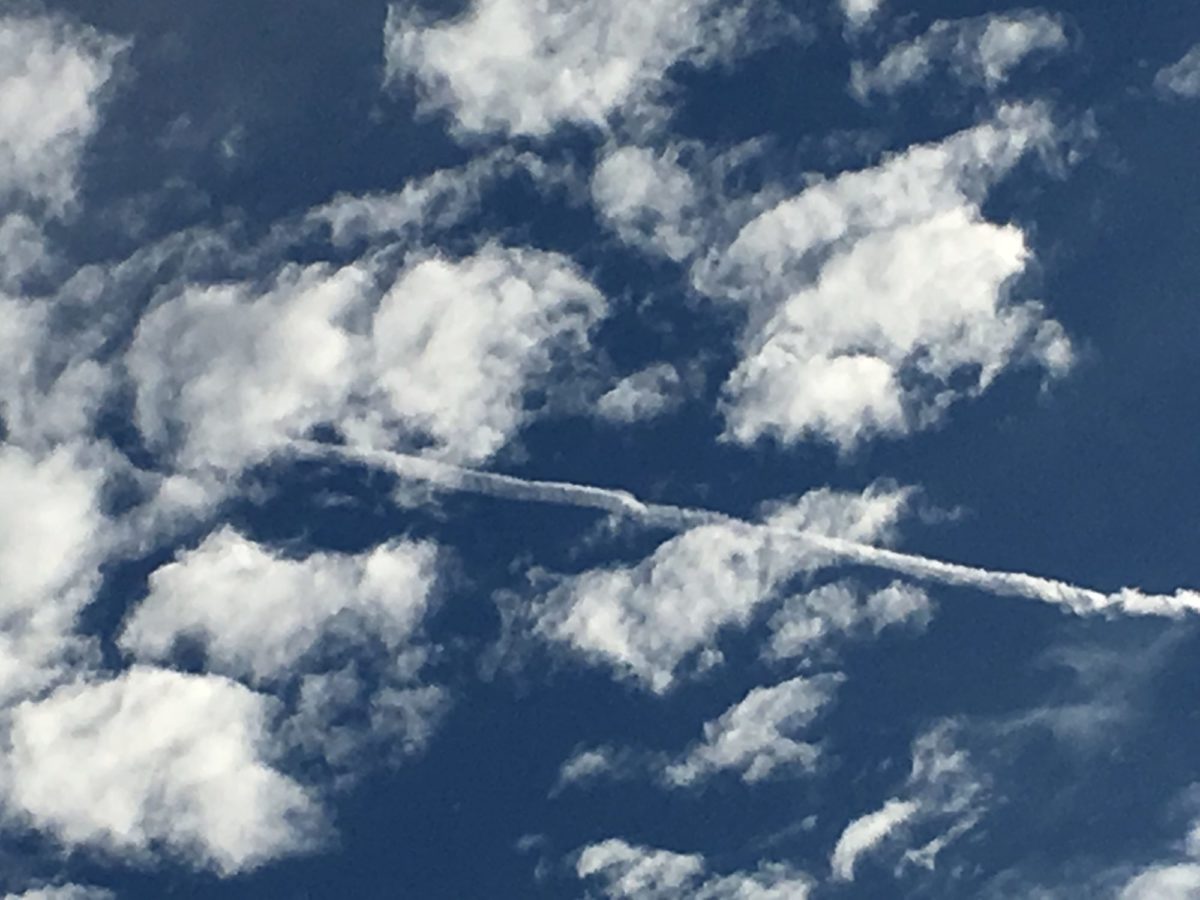きれいな飛行機雲
