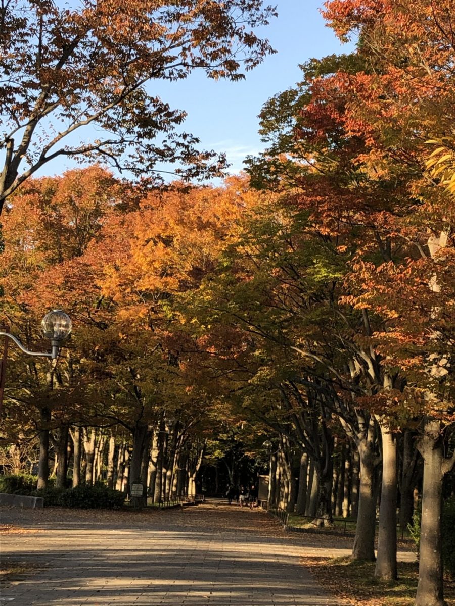 堺市西原公園の紅葉