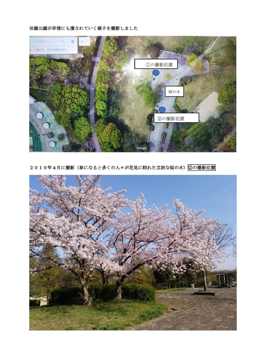 田園公園「公園潰し」無残な桜の八つ裂き