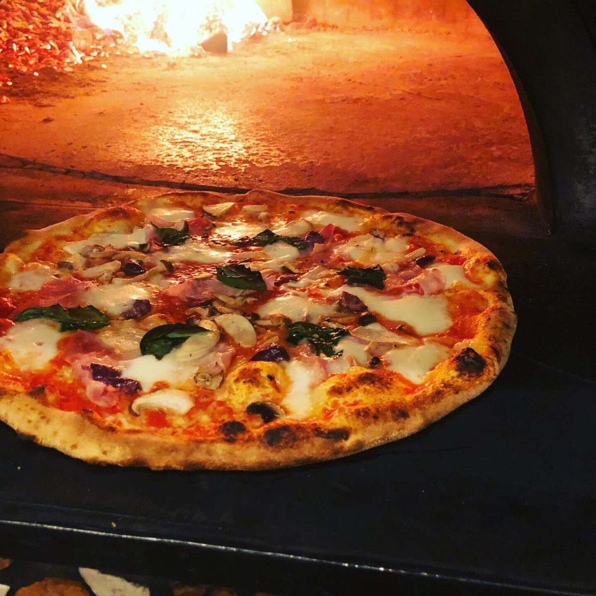 のぞみ野に薪焼きピッツァとイタリア郷土料理のお店がオープン／Pizzeria Trattoria O.G.O