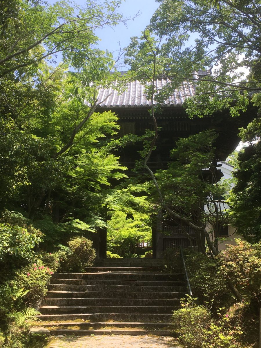 新緑の松尾寺