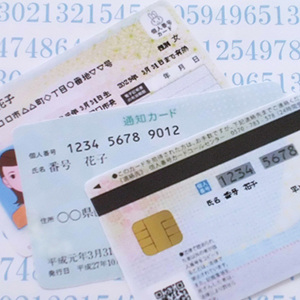 和泉市でマイナンバーカードの「臨時申請受付支援サービス」
