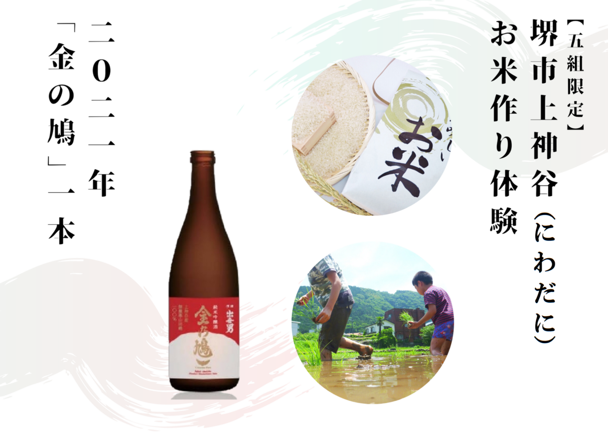 福祉事業所「ヤオヨロズヤ」が上神谷で無農薬酒米から日本酒づくり