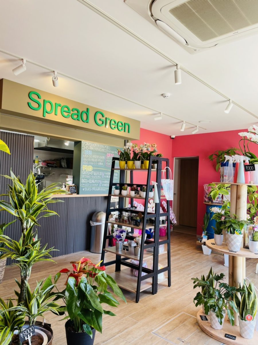 のぞみ野にカフェ併設のグリーンショップがオープン／SPREAD GREEN・和泉市
