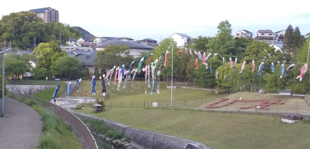 今年もこいのぼりが泳いでいます／松尾川河川敷公園（ひつじ公園）・和泉市