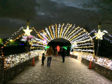 毎年12月開催　無料で見に行けるイルミネーションスポット、寺ヶ池公園