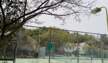 ［堺市南区］和気あいあいとテニスをしませんか【ひまわりテニスクラブ】