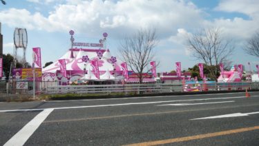 ［和泉市］ついにサーカス開幕！ ピンクの桜が目印です