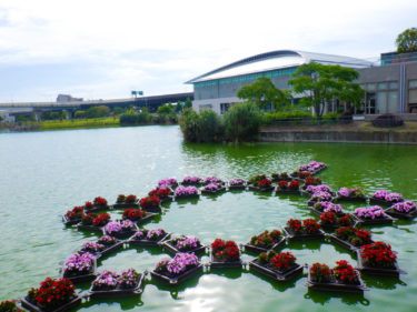 ［堺市中区］水上花壇が楽しめます　リニューアルした原池公園