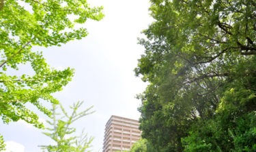 ［堺市南区］３年ぶり受講生募る　大阪シニア自然カレッジ