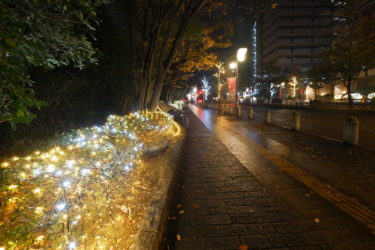 ［富田林市］３年ぶり大通りに電飾　11月27日、久野喜台で点灯イベント