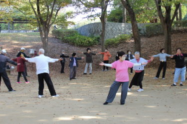 ［堺市南区］心と体の健康にぴったり　赤坂公園で太極拳