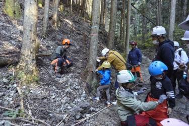 ［河内長野市］親子で森林伐採体験など　金剛山で木材について学ぶ