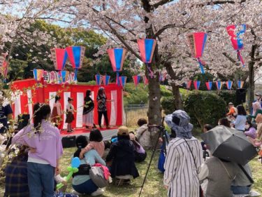 ［堺市南区］泉北ニュータウン各地で桜まつり ４年ぶりに開催