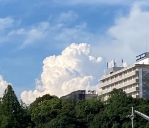 まちかど：あおちゃん