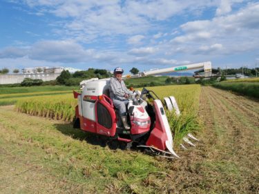 ［堺市南区］上神谷米の収穫始まる　93歳の峯野さん「冷めてもモチモチ」