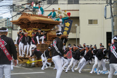 ［堺市南区］勇壮なやりまわし　交差点も難なく　松尾連合のだんじり祭り