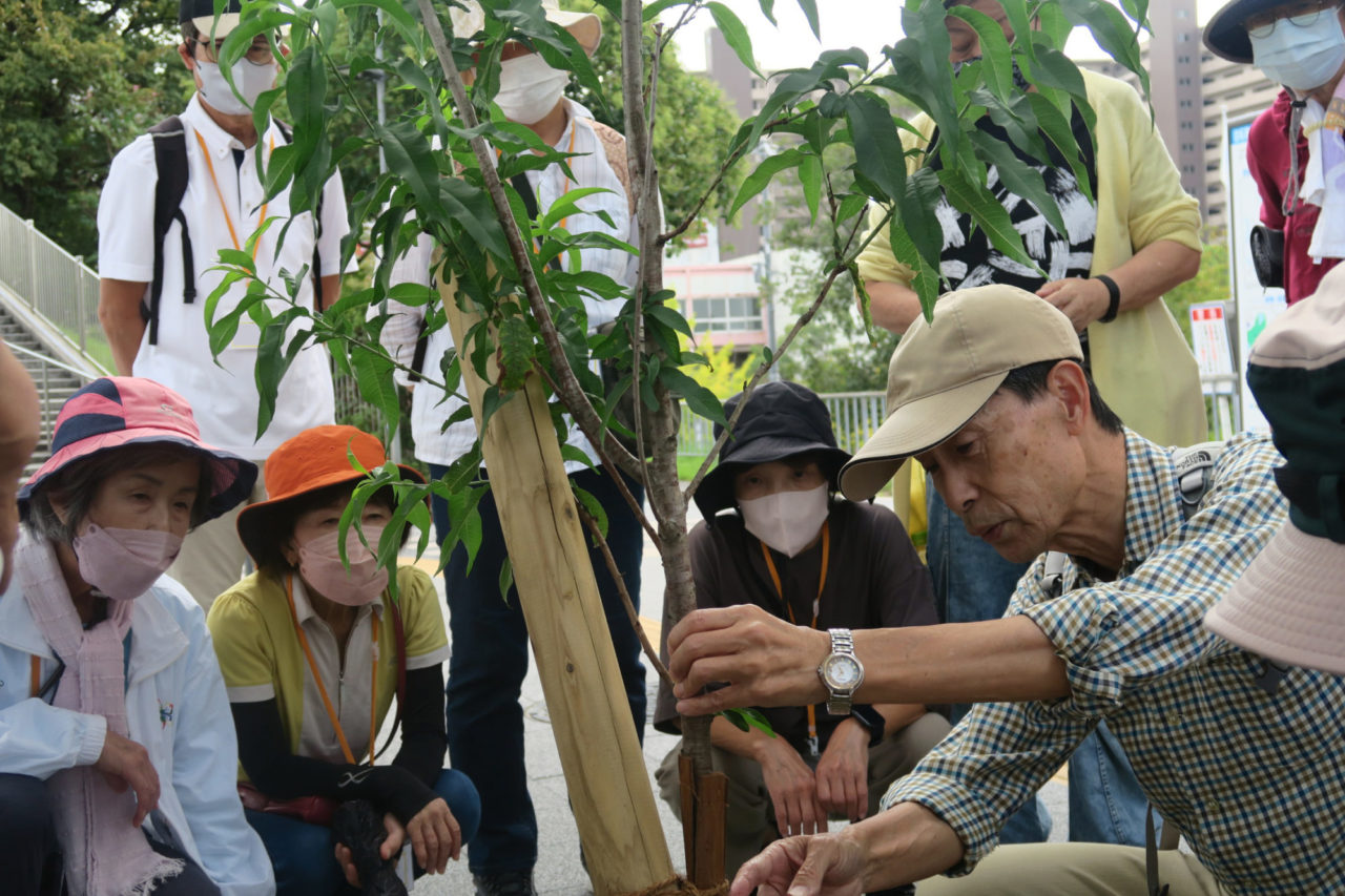 フィールドワークの様子