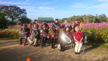 ［和泉市］満開のコスモス畑を背に、金管楽器の演奏会　リサイクル公園でバンドグループ