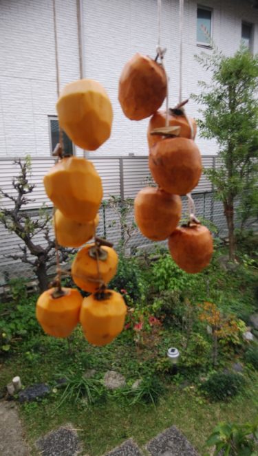 ［堺市南区］吊し柿を作りました！