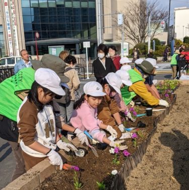 ［堺市南区］南区役所横の花壇で、育てた花苗を植える　桃小児童