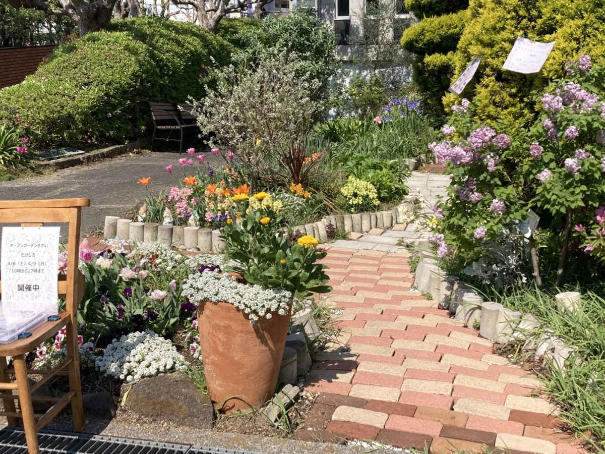 堺市南区］各地でオープンガーデン 青い旗が目印 3月末〜一般公開