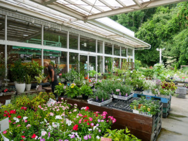 ［堺市南区］花にまつわるワークショップが人気、「出張お花教室」も受け付け中／リバティー岡本