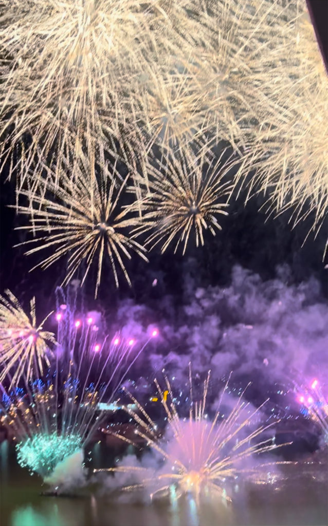 大阪狭山市］PLロスを吹き飛ばす！狭山池の花火に大歓声【投稿