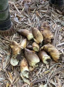 まちかど・コダイロマン