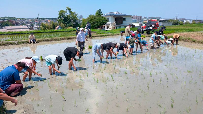 こども会の田植え