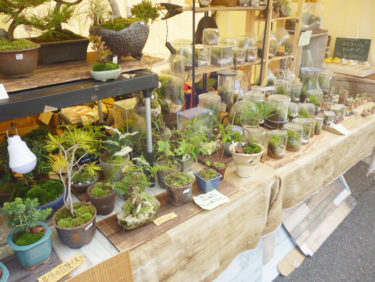 ［河内長野市］10月11～13日、ロハスフェスタ　手作り雑貨やフード販売／関西サイクルセンター