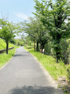 富田林クビアカ対策