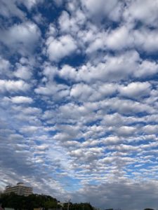 はつが野・あおちゃんさん