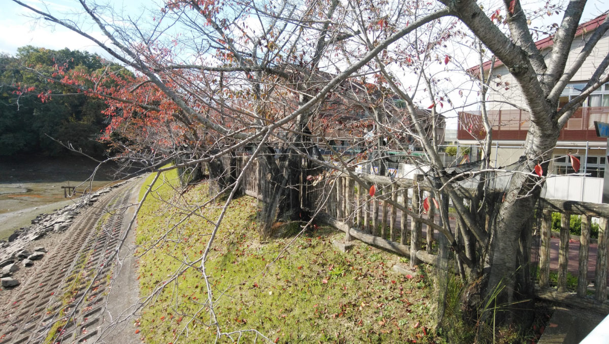 大蓮公園 白鳥橋