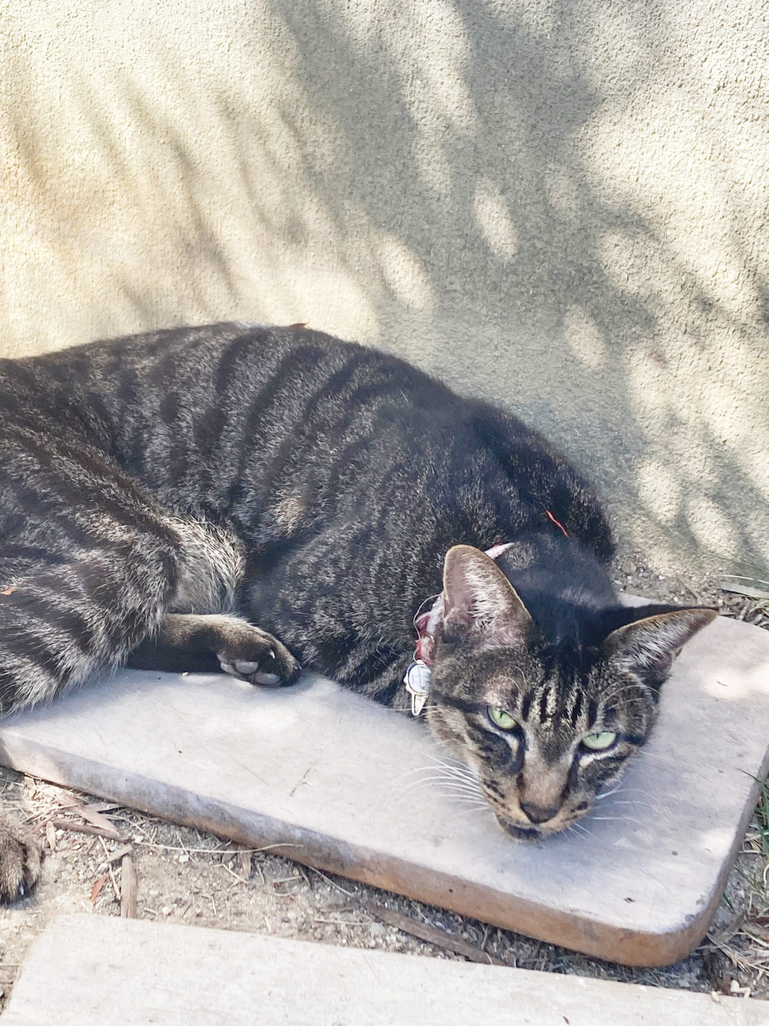 心あたり・フクイ