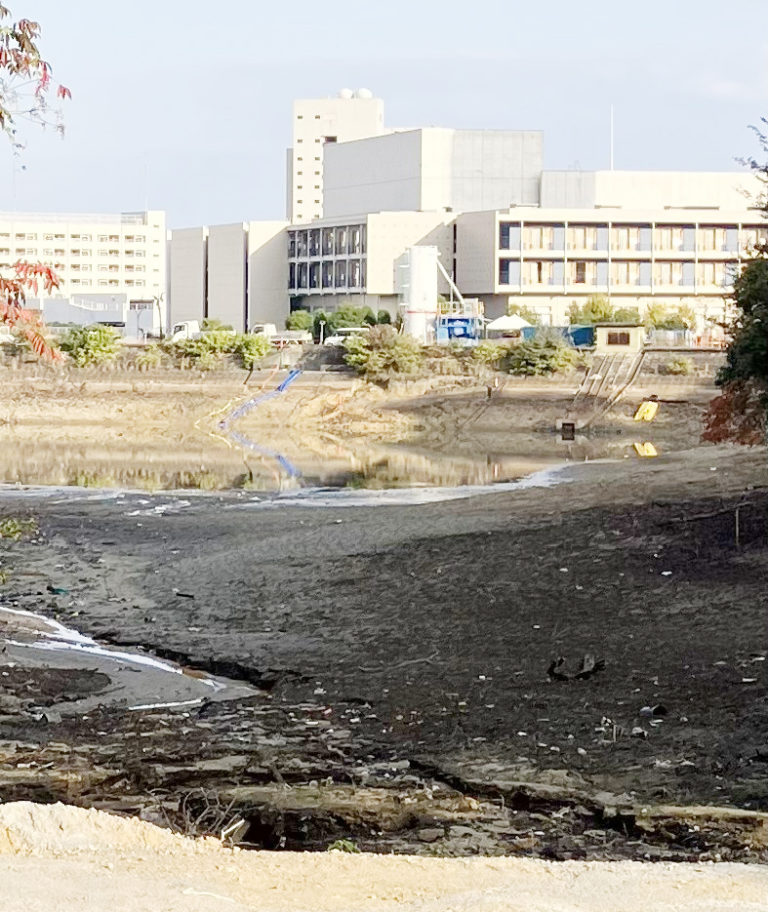 池順鐸　水滴　 　共箱　３３９ 2026年最新】池順鐸の人気アイテム - メルカリ