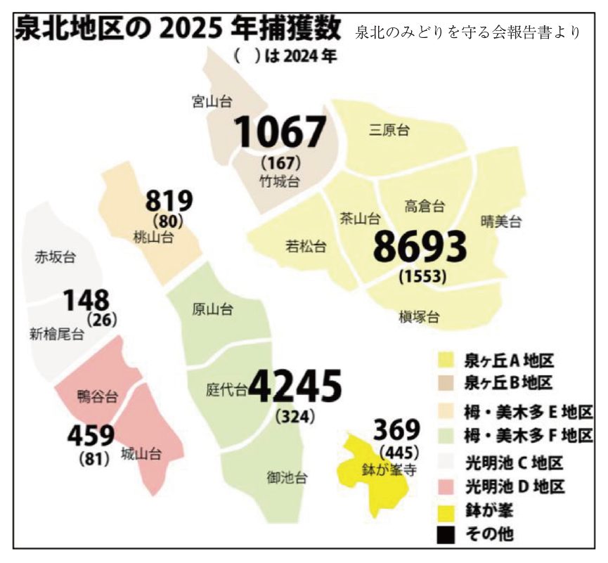 泉北地区の2025年捕獲数