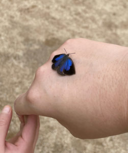 鴨谷台・だんさん