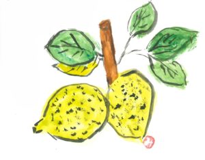 竹城台・M.Kさん