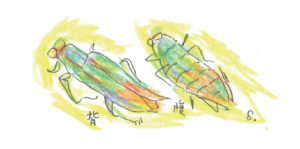 赤坂台・スプーンおばさん