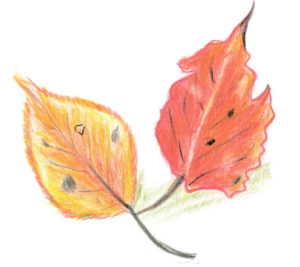 のぞみ野・E.Tさん