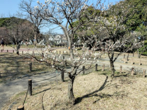 竹城台・N.Sさん