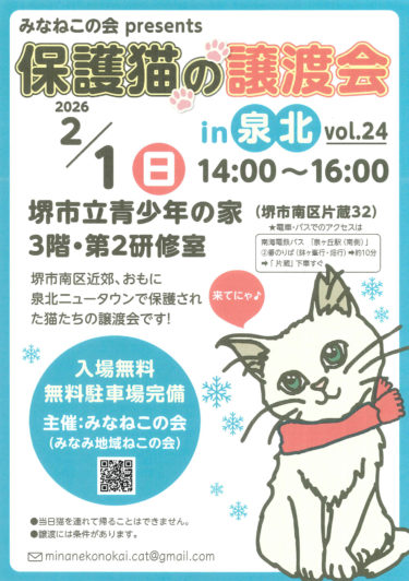 ［堺市南区］２月１日、保護猫の譲渡会｜みなねこの会