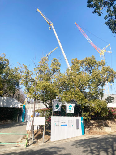 ［和泉市］巨大なキリン？【投稿】