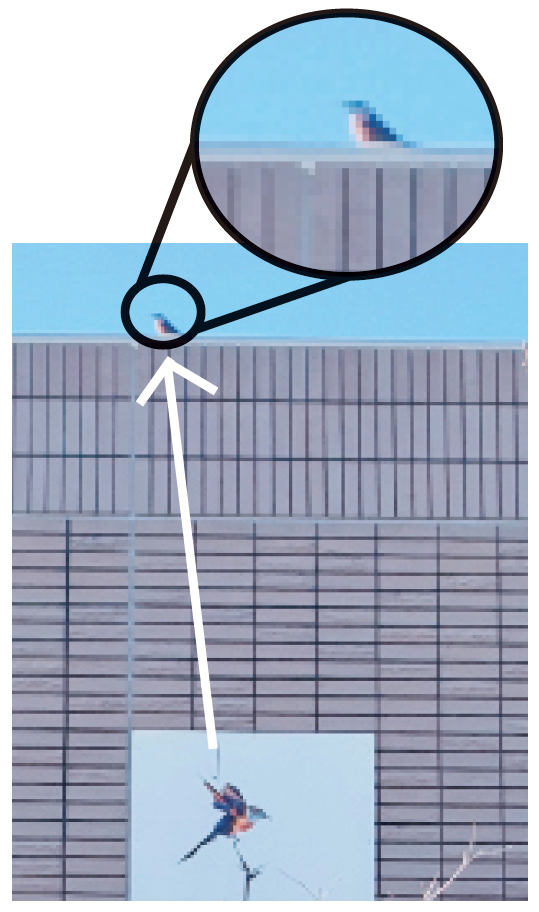 原山台・R.Sさん