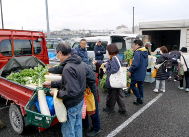 ［堺市南区］次回は２月25日、「にわだに朝市」にぎわう　新鮮な野菜・植物を手頃な価格で／ＪＡ堺市上神谷支所
