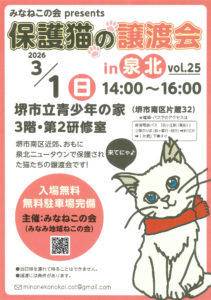 3/1みなねこの会保護猫譲渡会